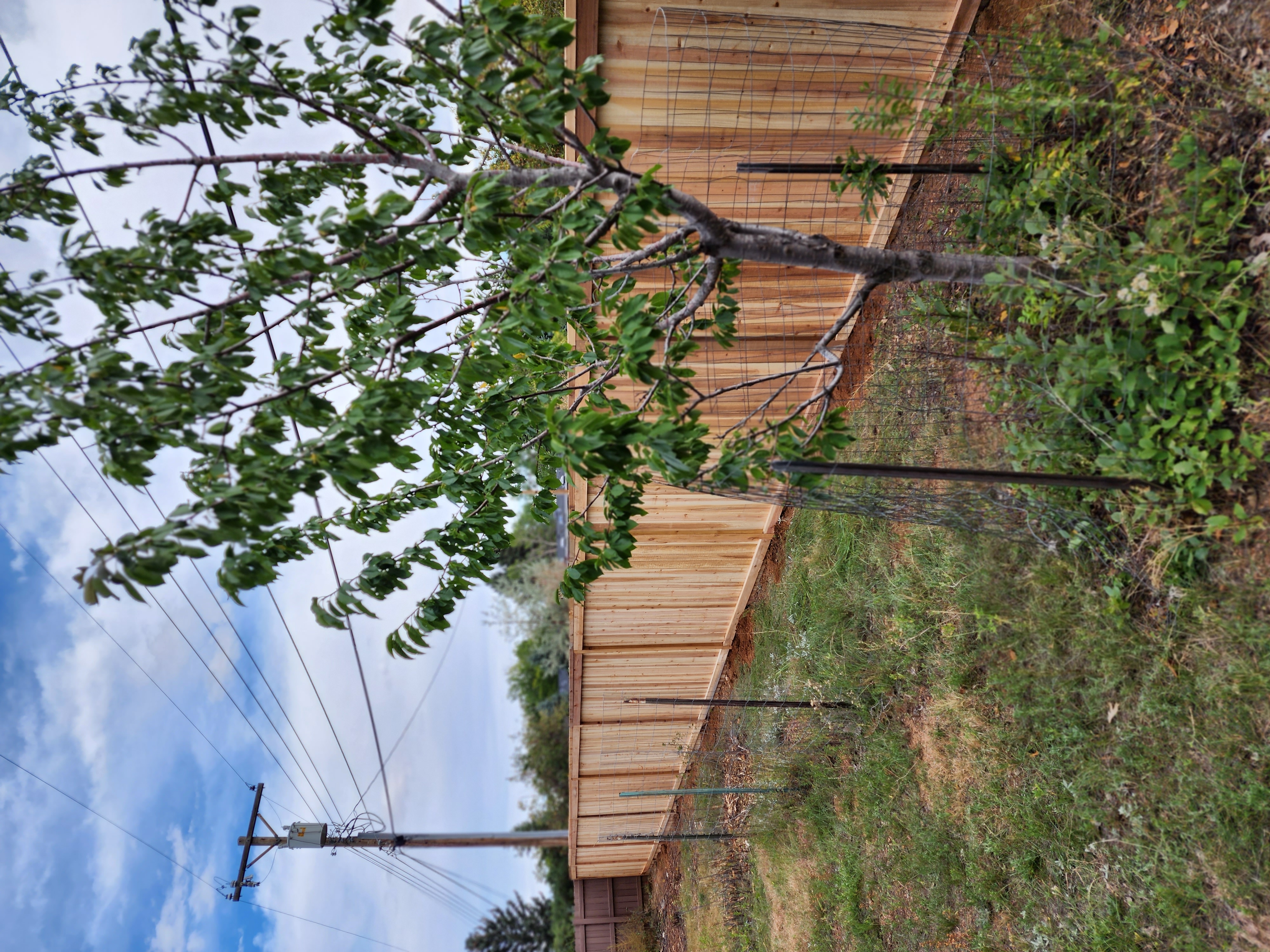 Big Blu's fencing project 97 in Colorado Springs