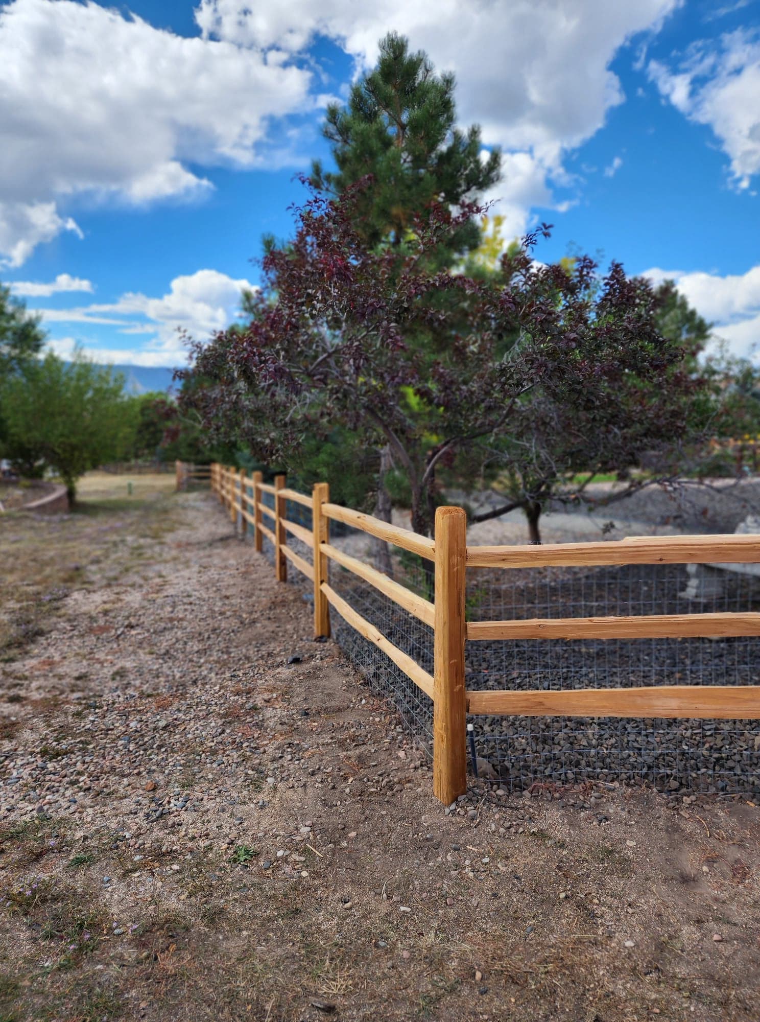 Big Blu's fencing project 45 in Colorado Springs