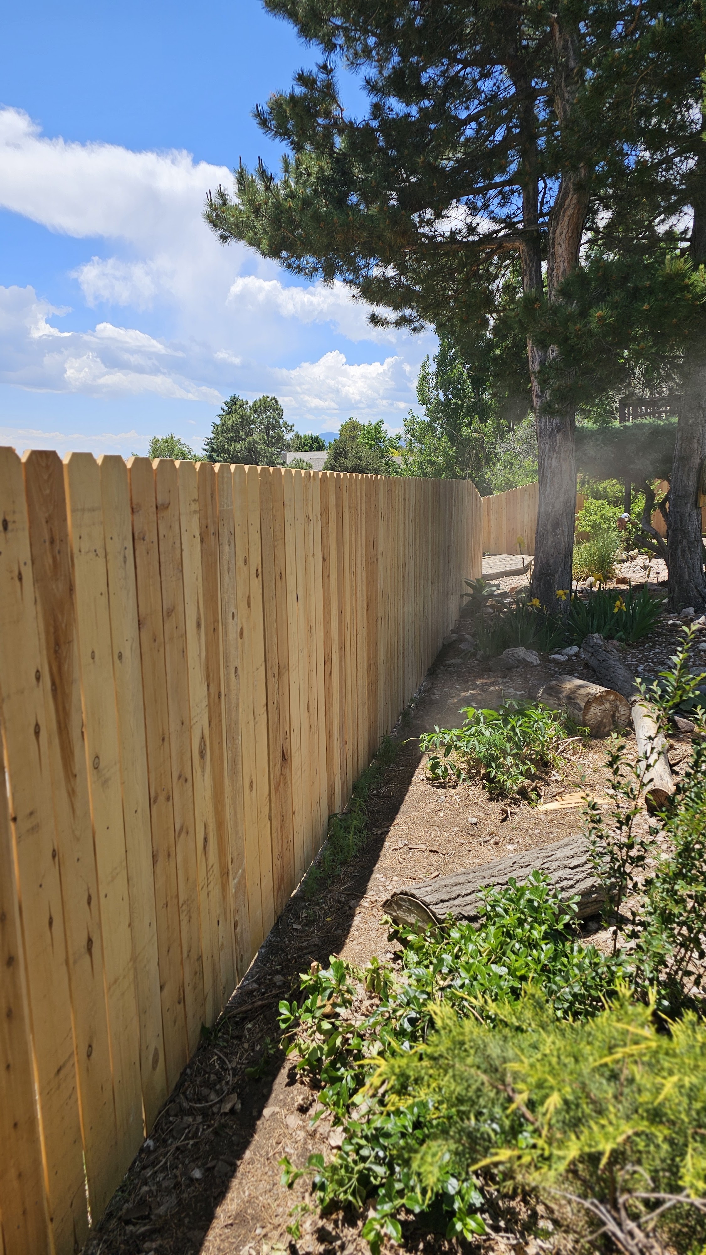 Big Blu's fencing project 84 in Colorado Springs