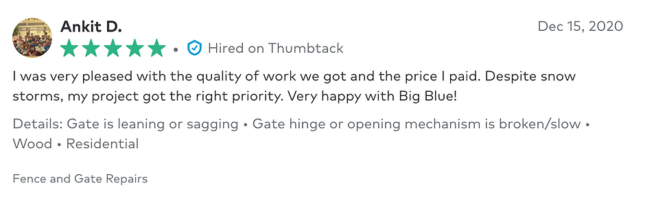 Customer review 12 for Big Blu's