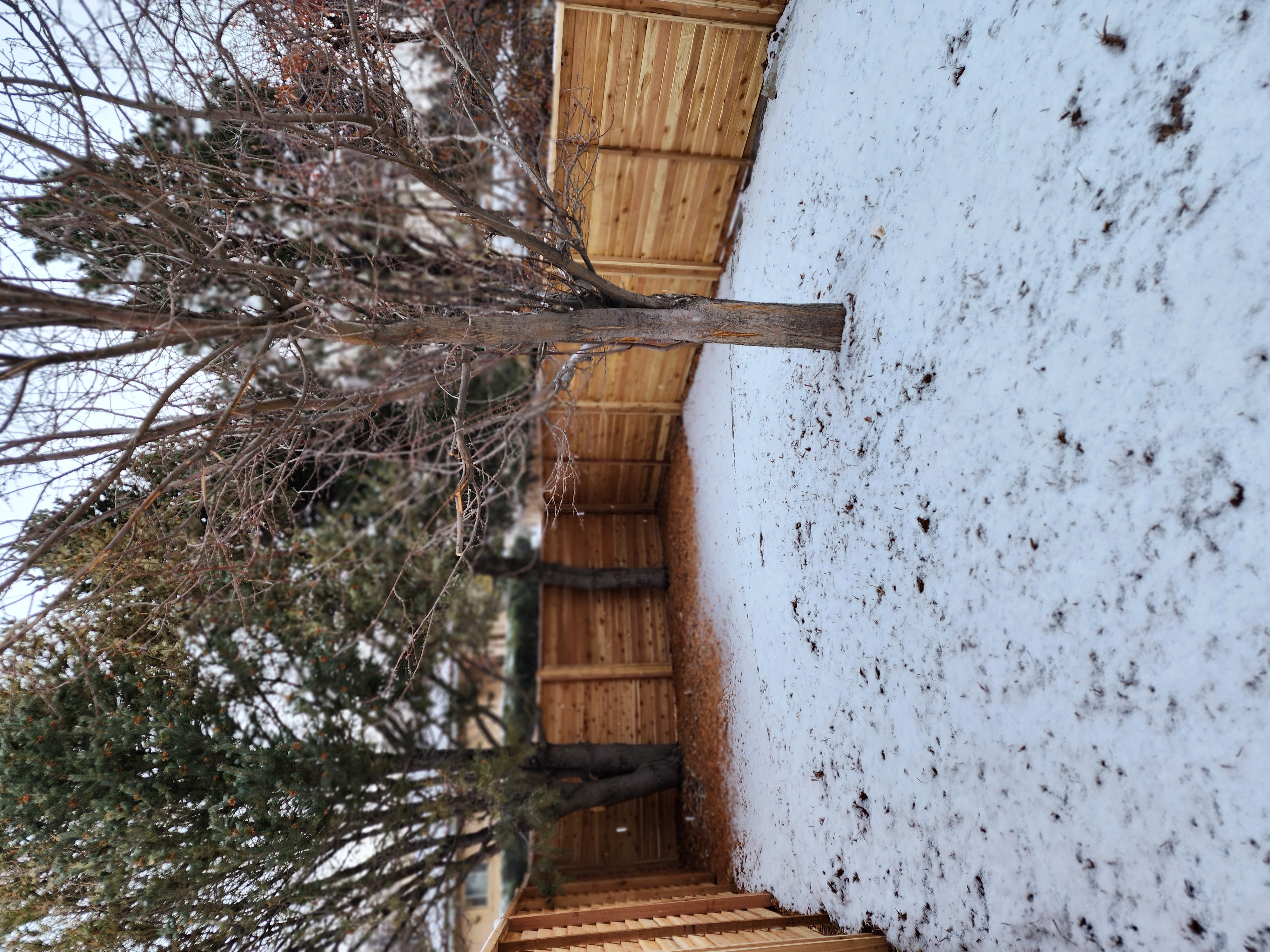 Big Blu's fencing project 51 in Colorado Springs