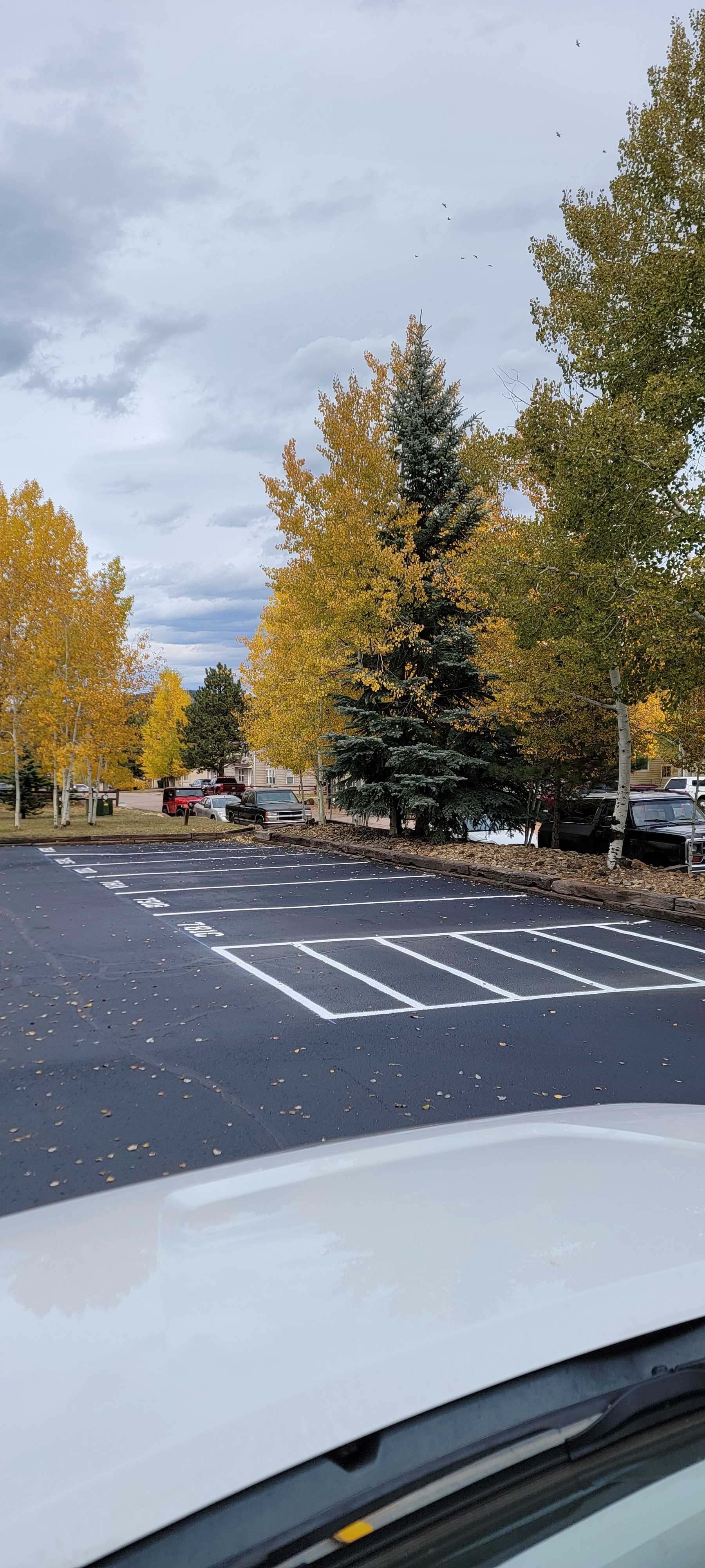 Parking lot striping project 46 by Big Blu's