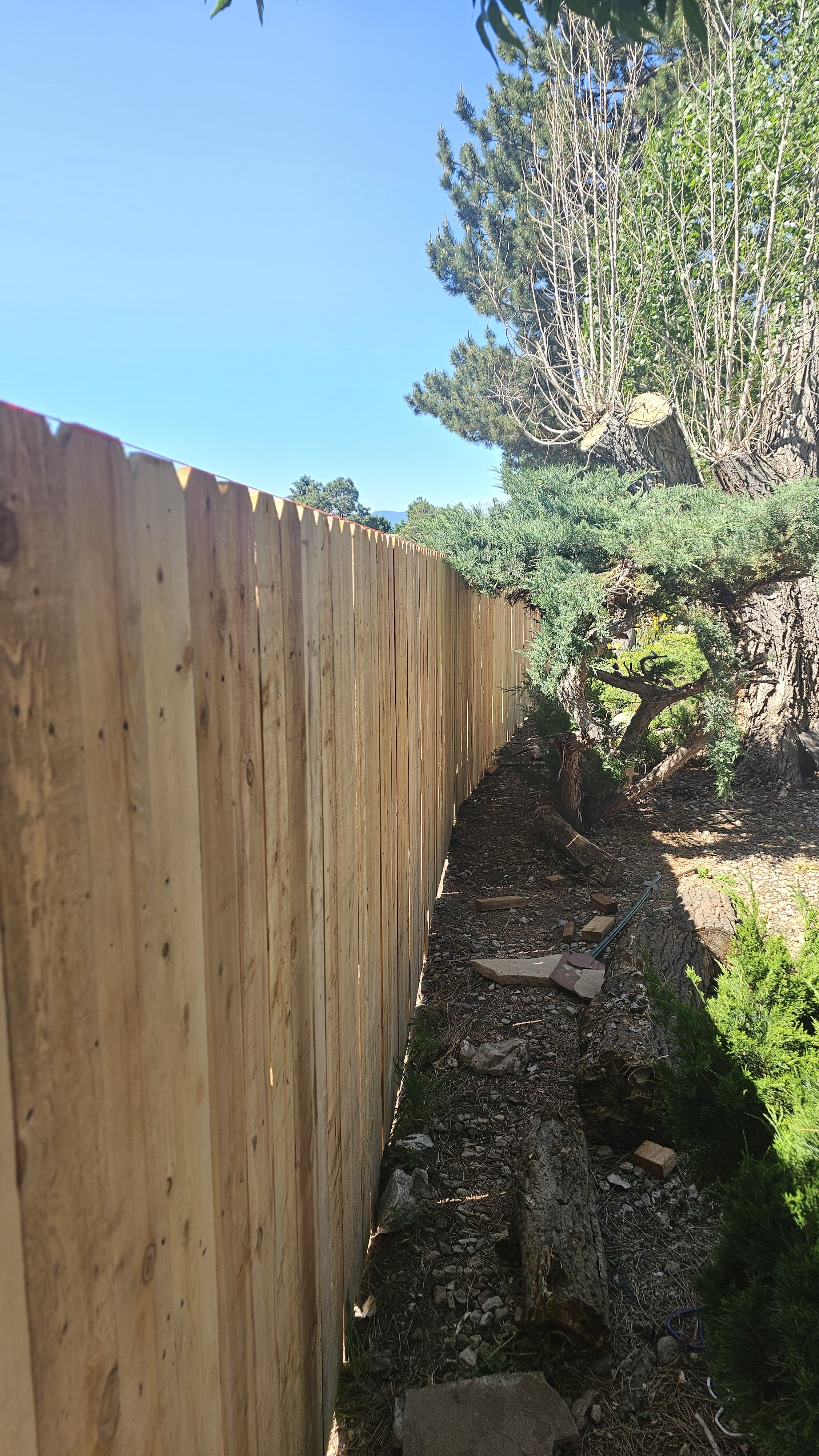 Big Blu's fencing project 82 in Colorado Springs
