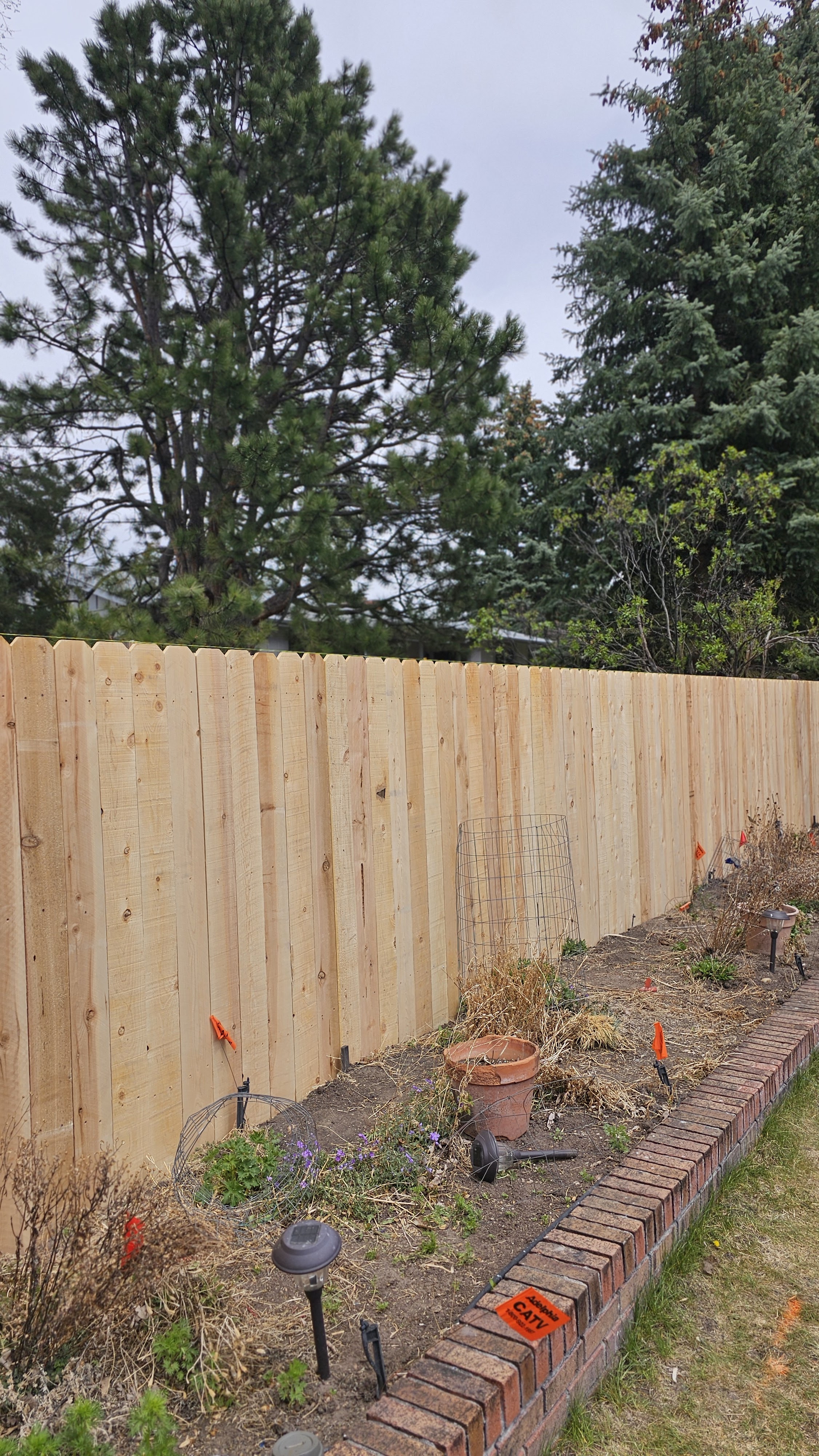 Big Blu's fencing project 81 in Colorado Springs
