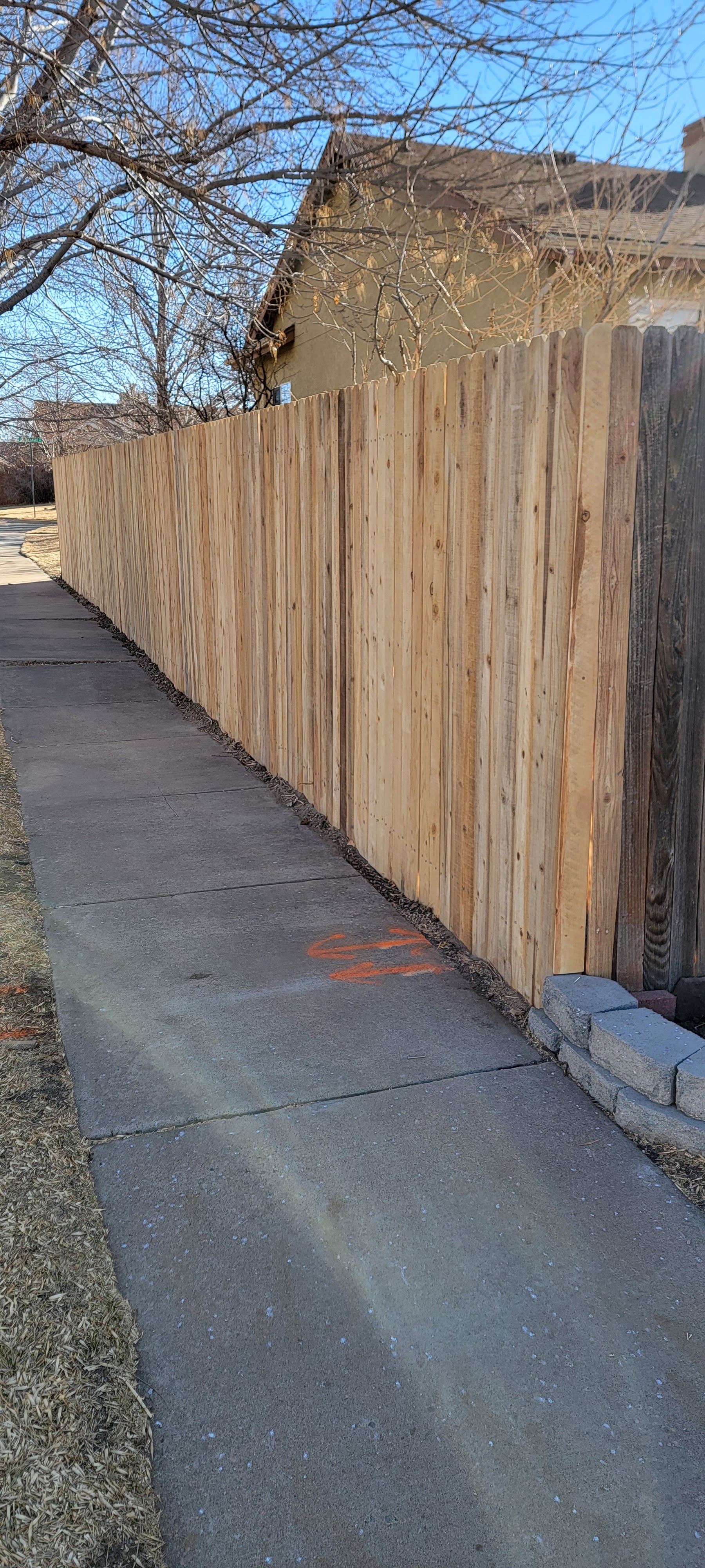 Big Blu's fencing project 73 in Colorado Springs