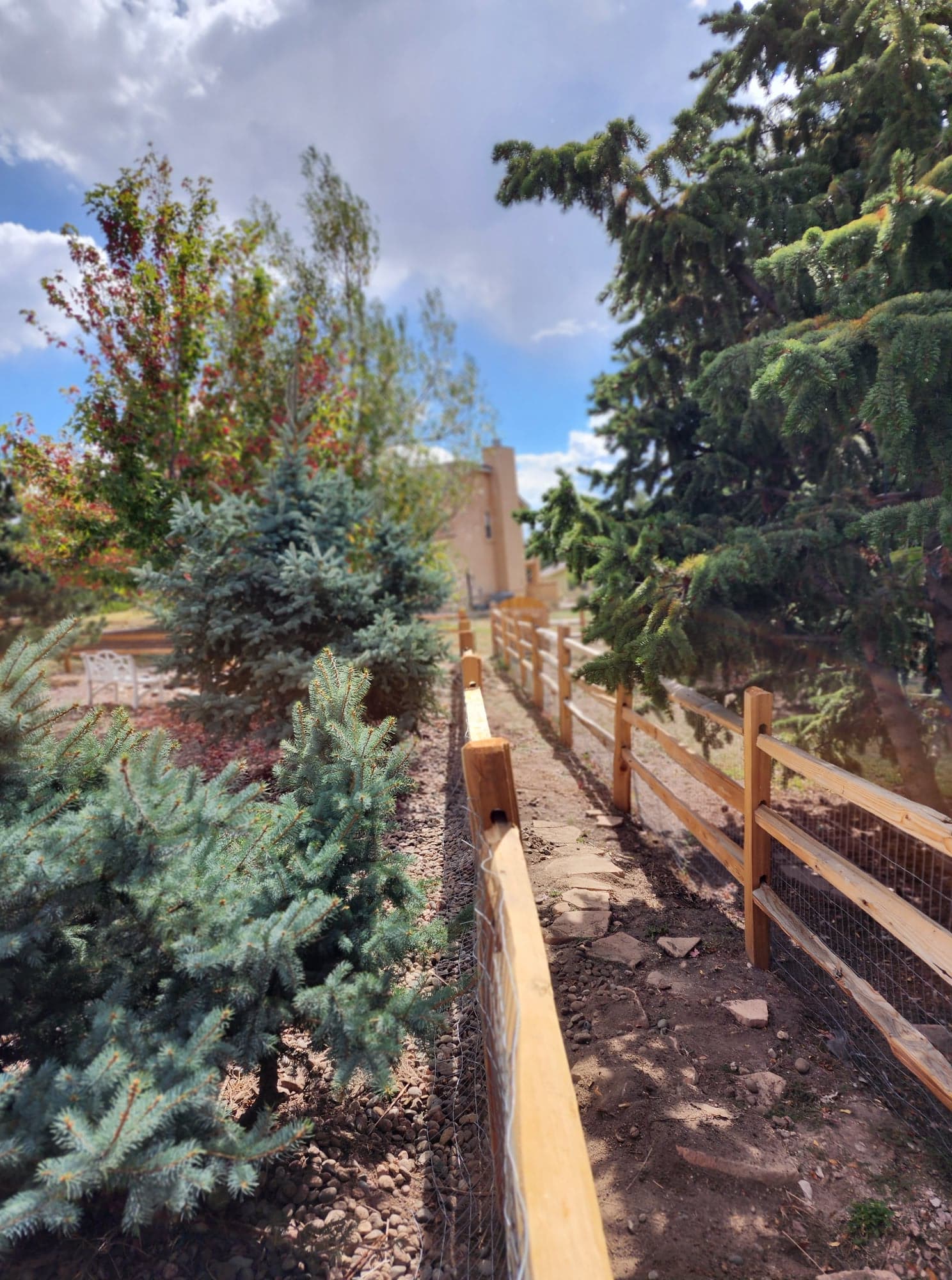 Big Blu's fencing project 30 in Colorado Springs