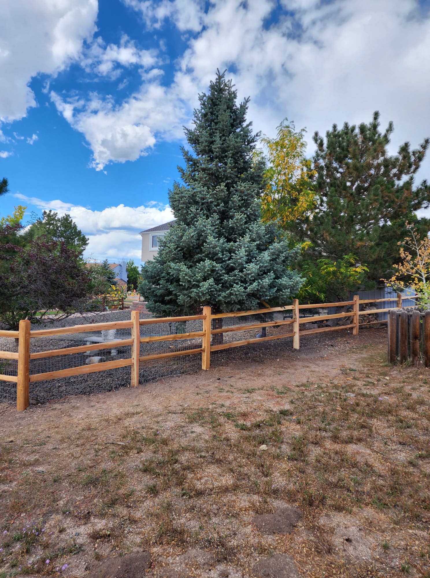 Big Blu's fencing project 62 in Colorado Springs