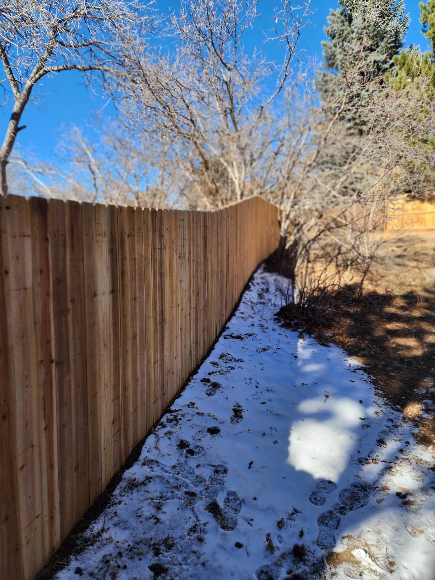 Big Blu's fencing project 57 in Colorado Springs